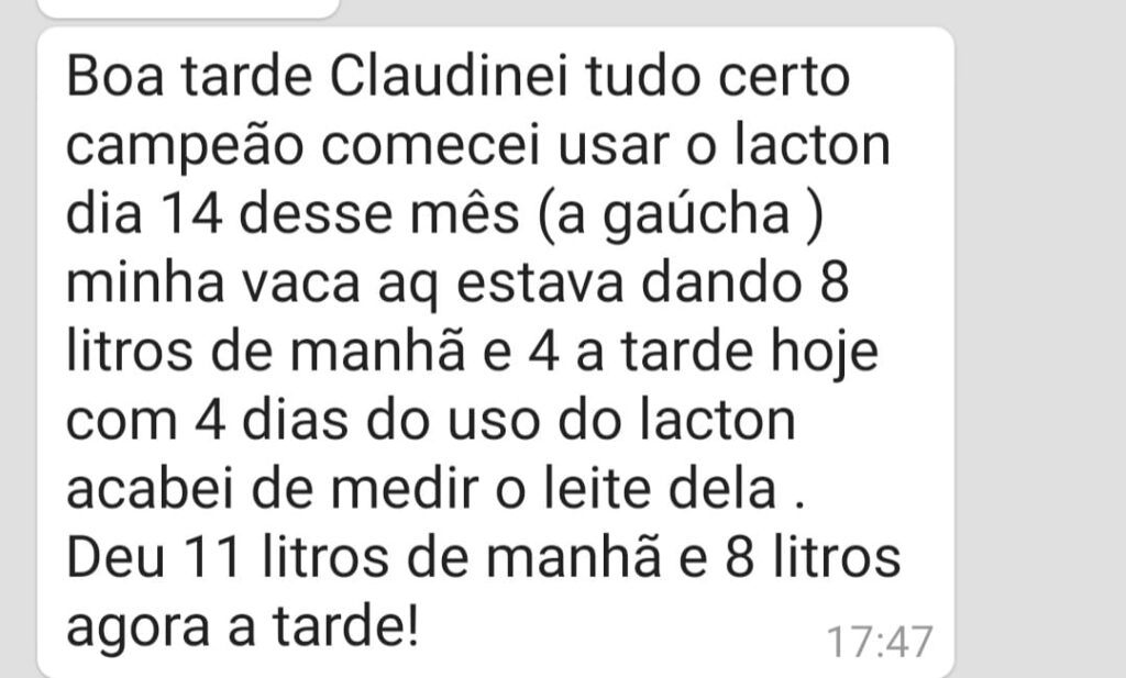 suplemento-alimentar-para-gado-leiteiro-e-de-engorda-corte-lacton-convert-plus