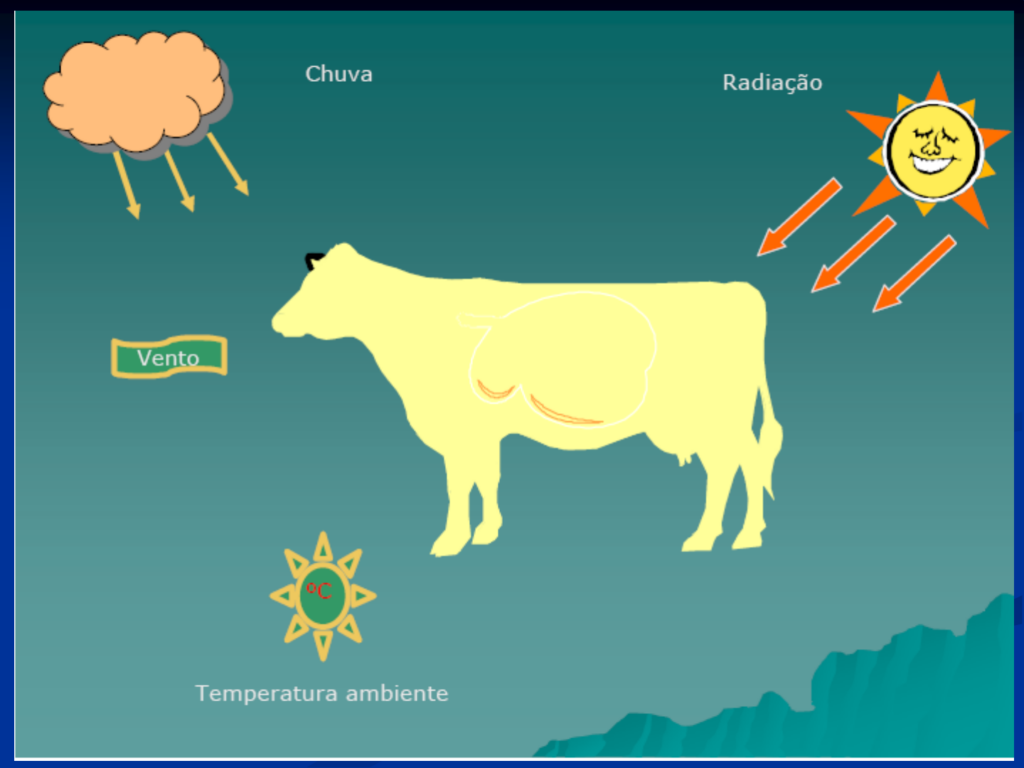 o-que-e-bioclimatologia-e-como-o-estresse-termico-influencia-na-saude-e-bem-estar-de-seus-bovinos