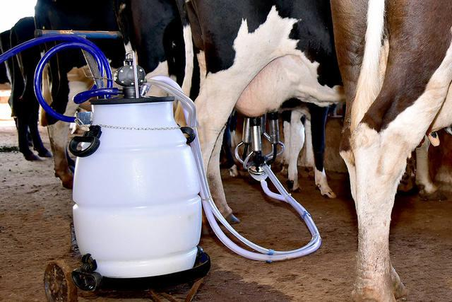 como-a-modernizacao-com-equipamentos-de-ordenhadeira-impacta-a-produtividade-leiteira