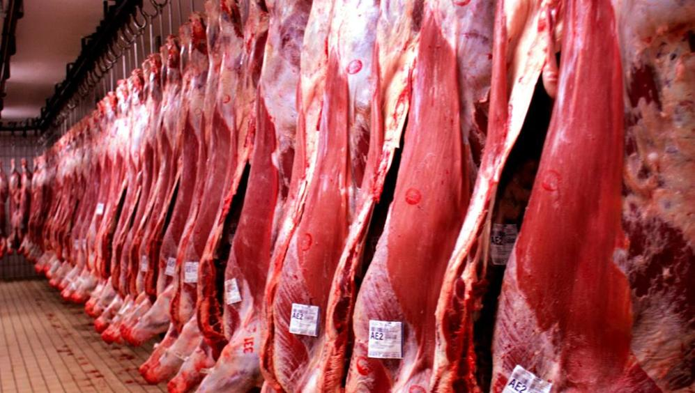 como-a-rastreabilidade-bovina-impulsiona-o-mercado-de-exportacao-de-carne-bovina-do-brasil