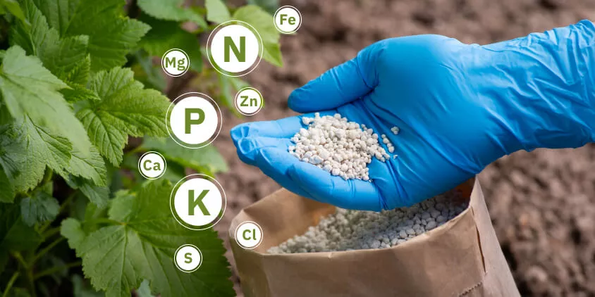 o-papel-dos-fertilizantes-e-adjuvantes-como-inovacoes-tecnologicas-na-agricultura