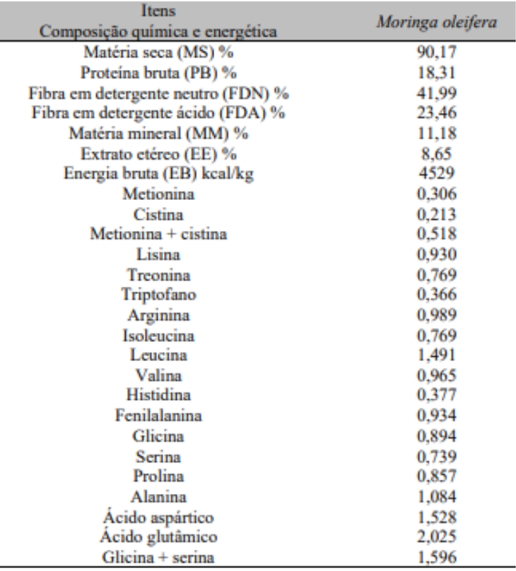 uso-da-moringa-na-alimentacao-de-animais-de-producao