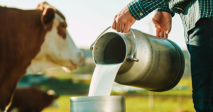 aumento-da-captacao-de-leite-no-1o-trimestre-de-2024-em-comparacao-ao-ano-de-2023