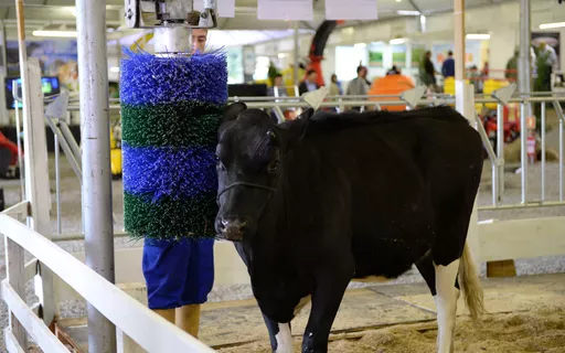 praticas-de-bem-estar-em-sistemas-de-confinamento-de-vacas-leiteiras-e-gado-de-corte