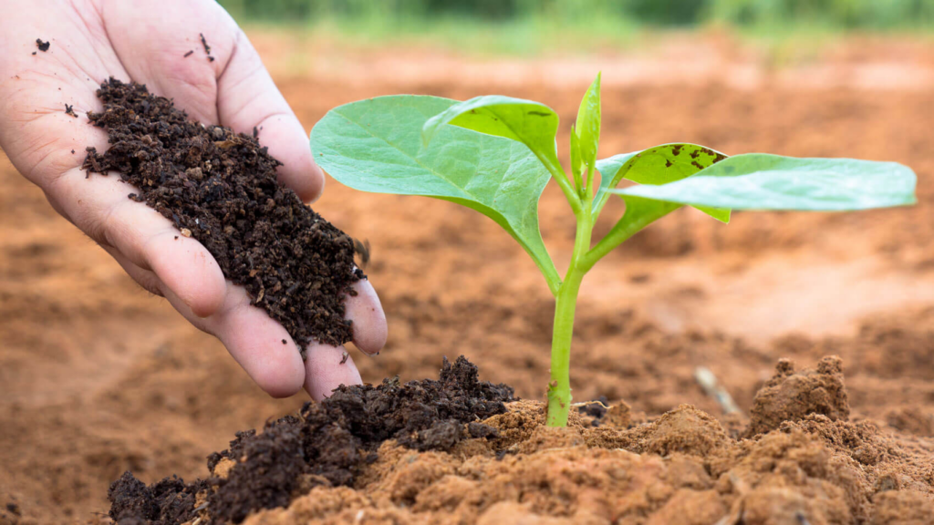 tratamento-de-dejetos-para-uso-como-adubos-e-fertilizantes