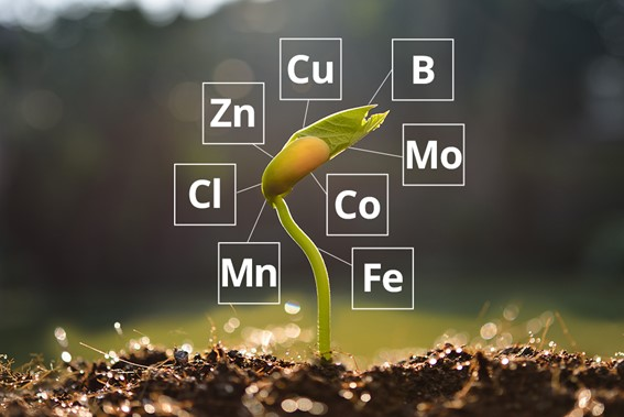 como-escolher-o-fertilizante-adequado-para-a-cultura-da-soja